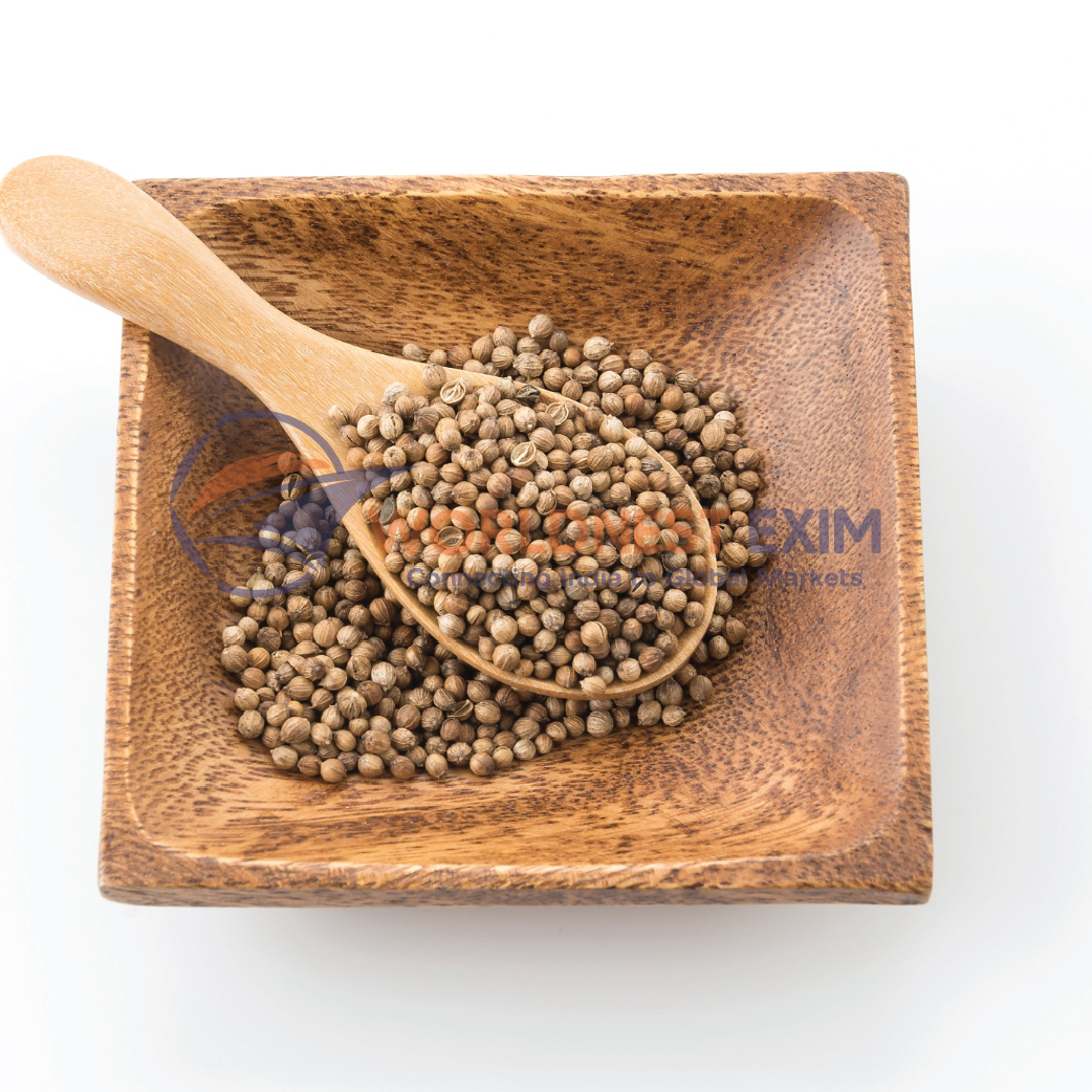Premium Coriander Seeds Export from Gujarat & Ahmedabad – WORLDNEST EXIM