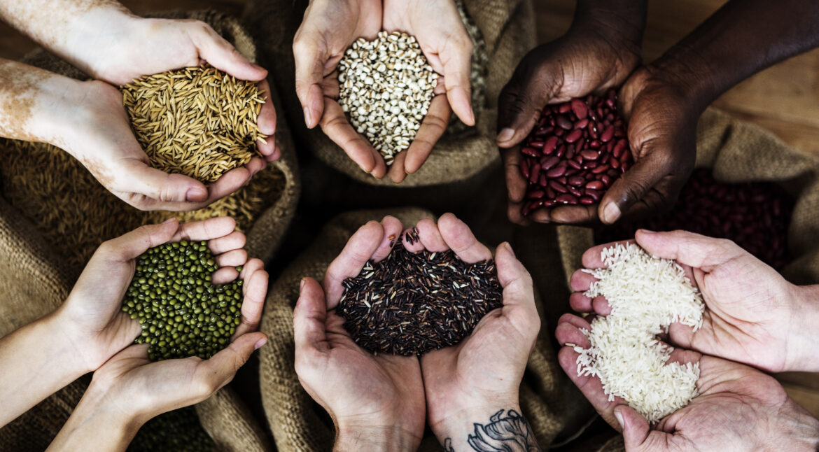 Fresh Spices for Global Export from Ahmedabad, Gujarat – WORLDNEST EXIM