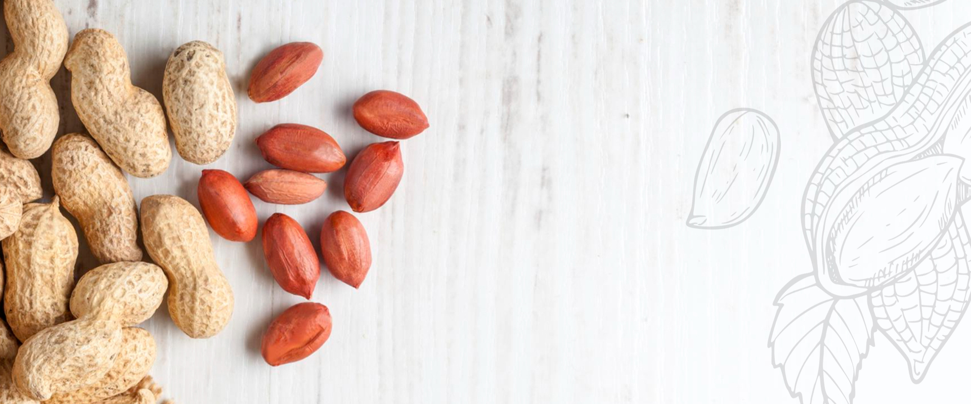 High-Grade Peanuts for International Trade | Gujarat Exporter