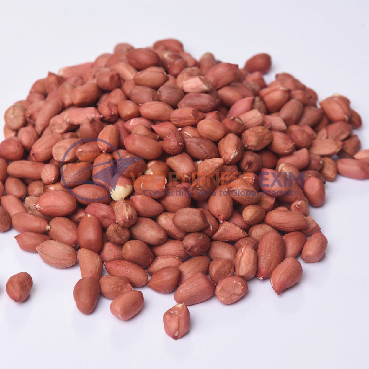 Premium Quality Peanuts Export – Ahmedabad, Gujarat