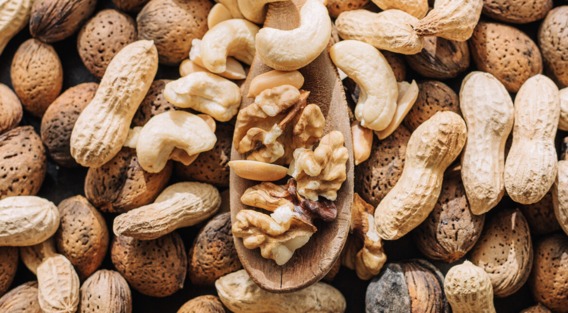 Peanuts Supplier & Exporter from Gujarat – WORLDNEST EXIM