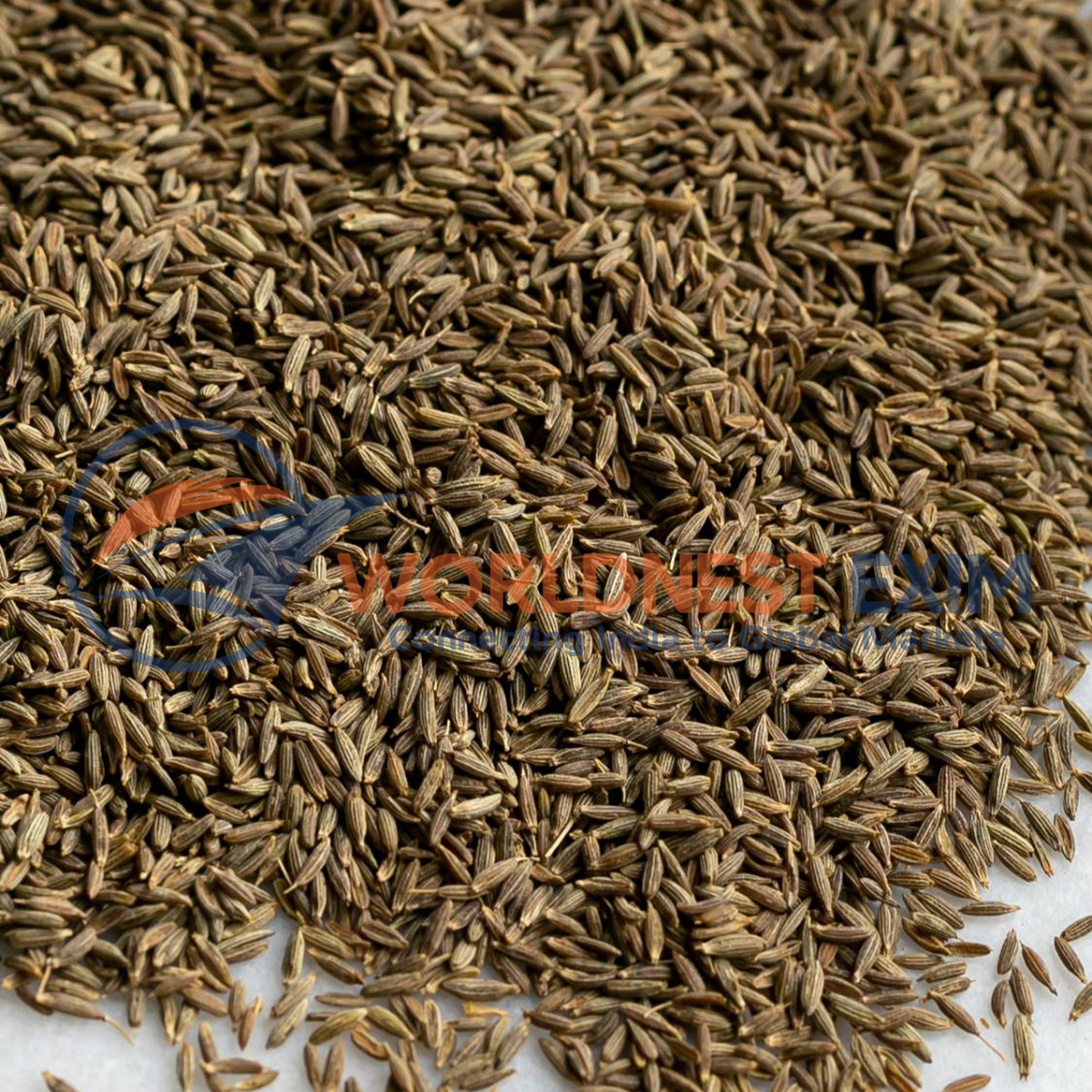 Jeera (Cumin Seeds)
