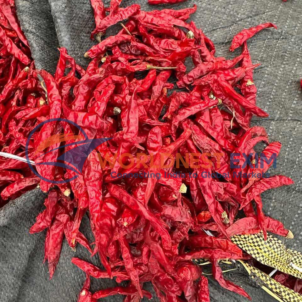 Dry Red Chilli - Image 2